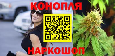 гидропоника Будённовск