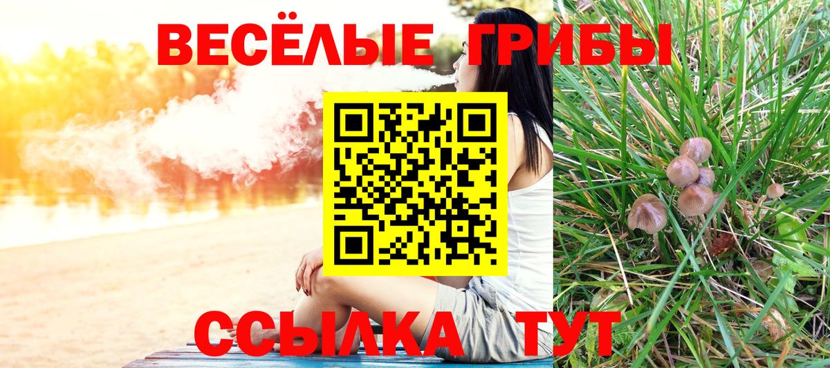 Галлюциногенные грибы мухоморы  Вход с VPN  Полысаево 